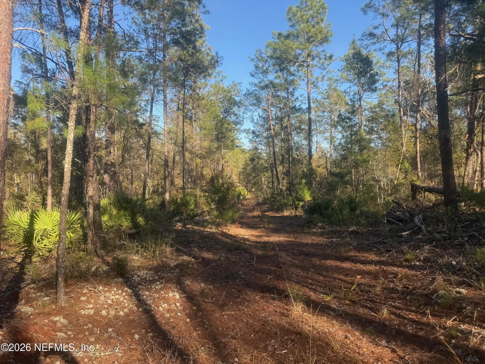 210 Morningside Drive Florahome FL 32140