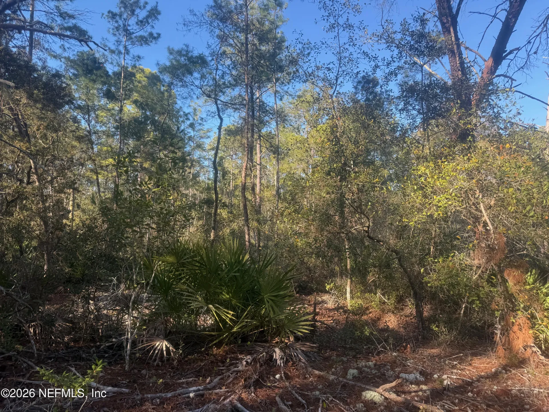 210 Morningside Drive Florahome FL 32140
