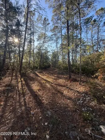 210 Morningside Drive Florahome FL 32140