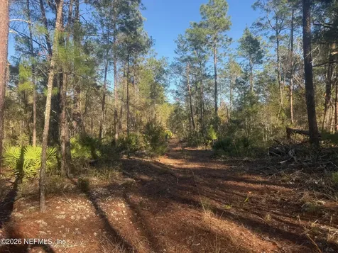 210 Morningside Drive Florahome FL 32140