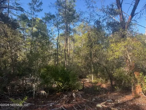 210 Morningside Drive Florahome FL 32140