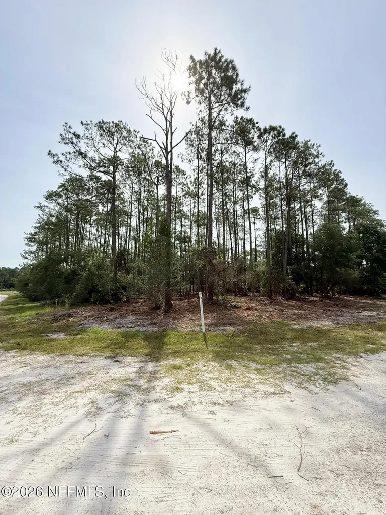 34 Whispering Pines Road Georgetown FL 32139