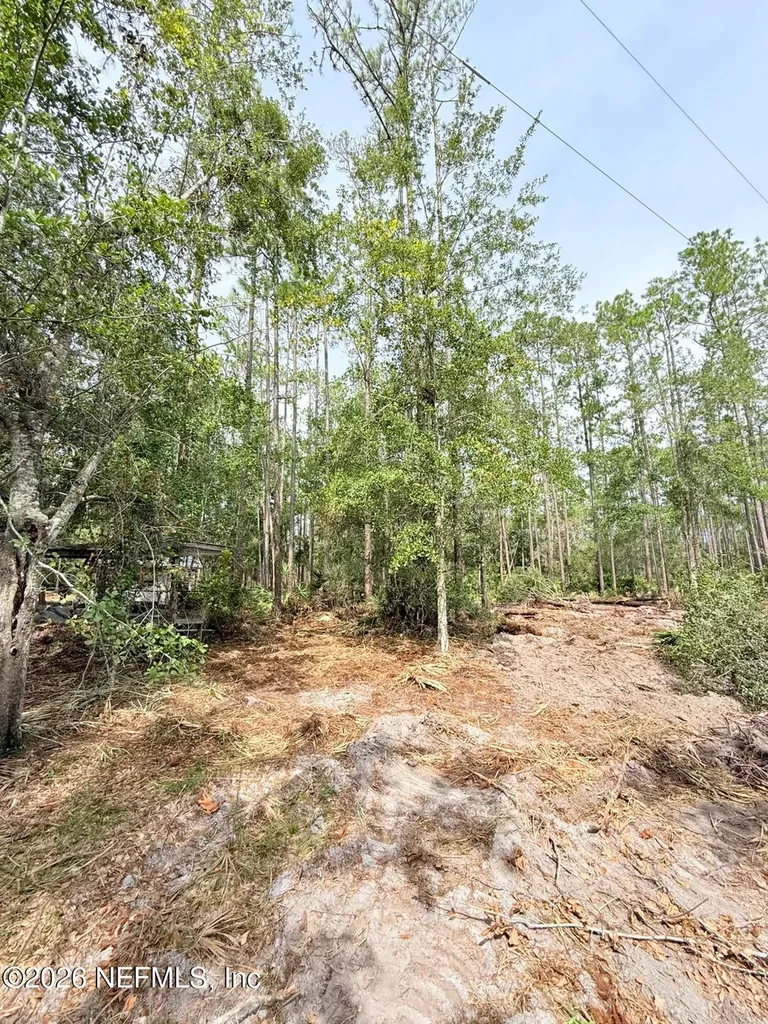 34 Whispering Pines Road Georgetown FL 32139