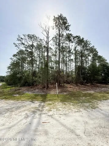 34 Whispering Pines Road Georgetown FL 32139