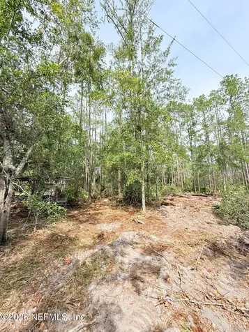 34 Whispering Pines Road Georgetown FL 32139