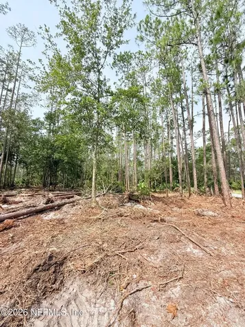 34 Whispering Pines Road Georgetown FL 32139