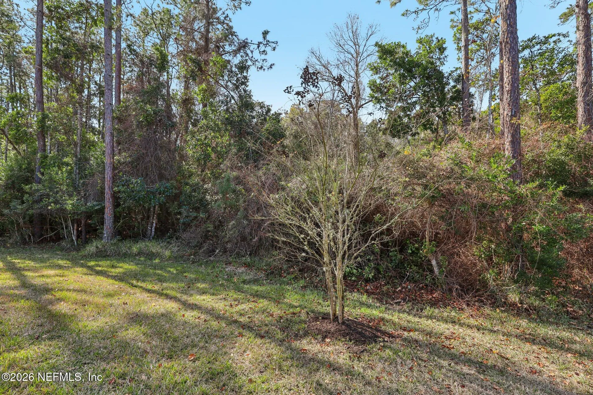 544 Enrede Lane St. Augustine FL 32095