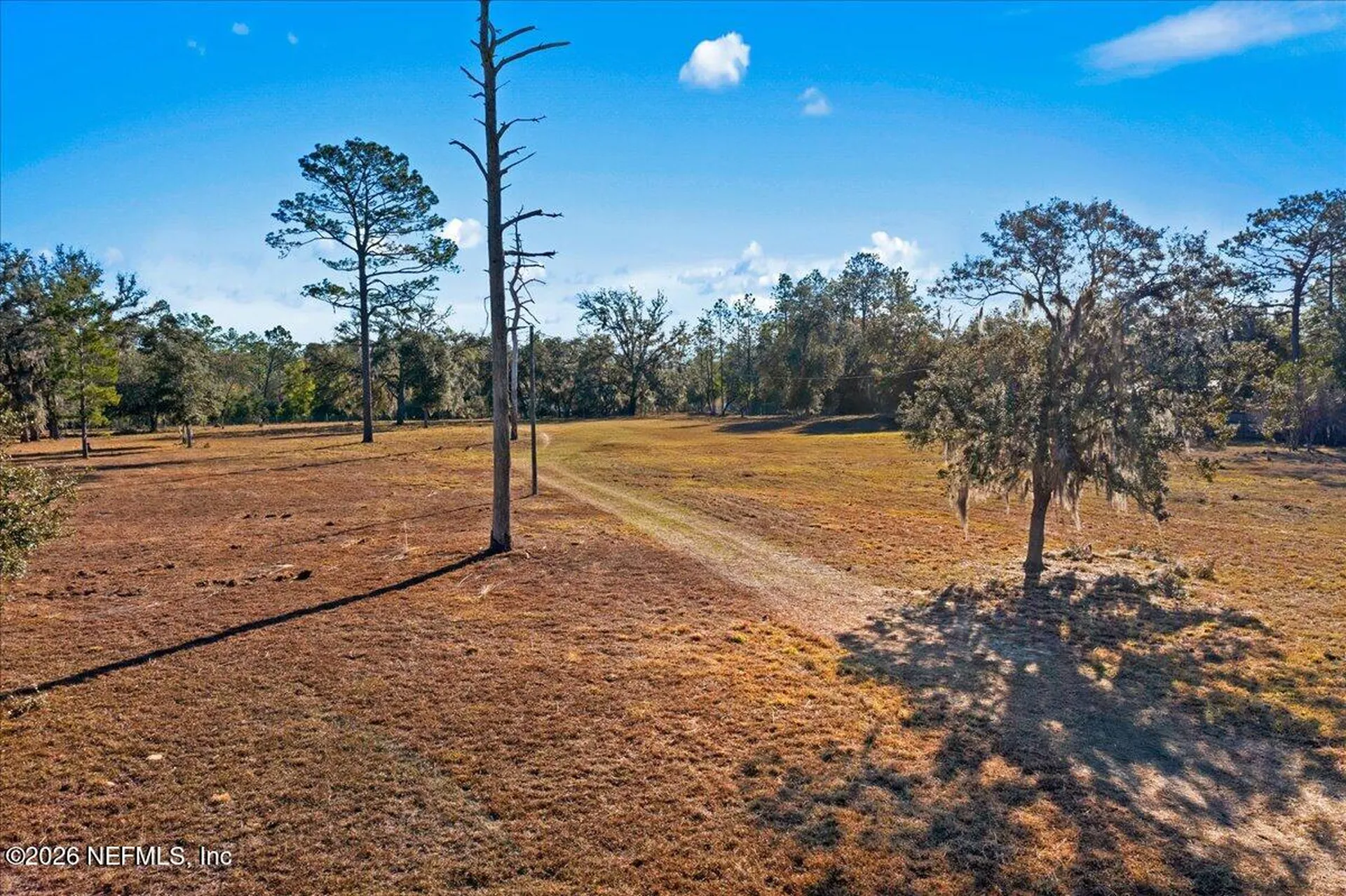 5551 NE 106 Court Bronson FL 32621