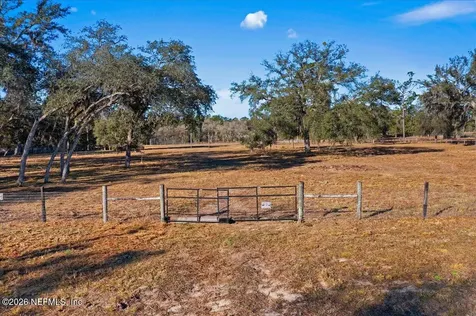 5551 NE 106 Court Bronson FL 32621