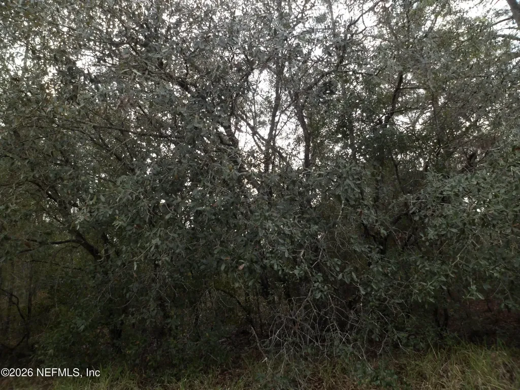 114 Canine Street Interlachen FL 32148