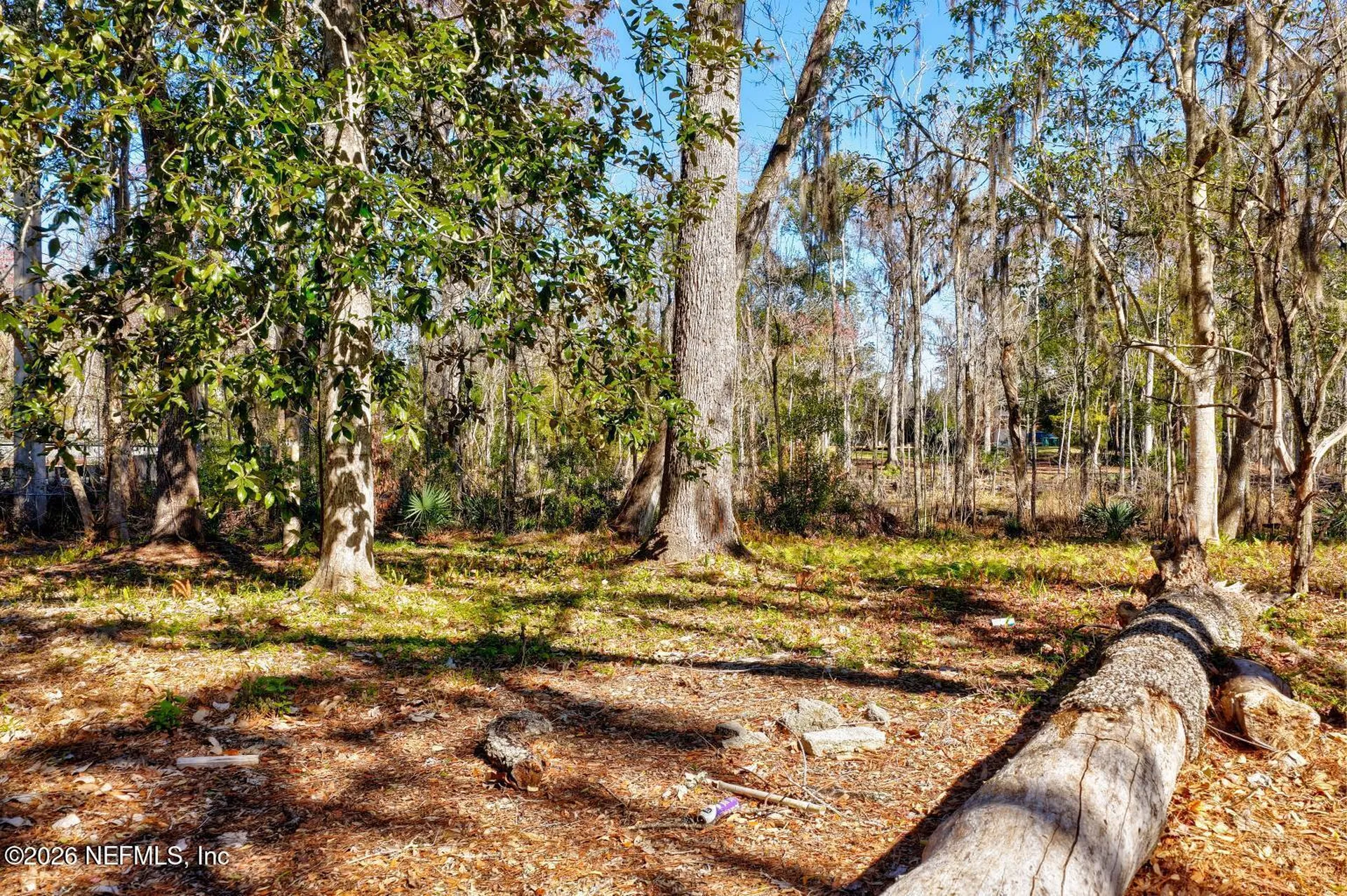 0 Scott Mill Road Jacksonville FL 32223