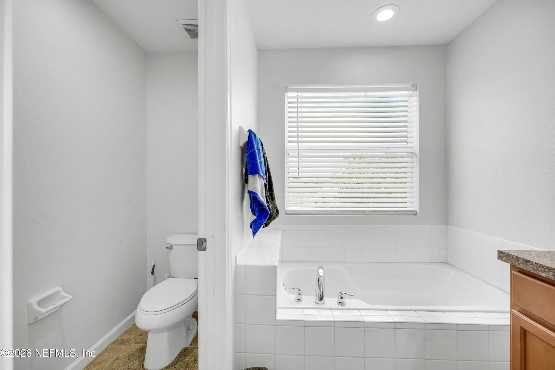 824 Sunny Stroll Drive Middleburg FL 32068