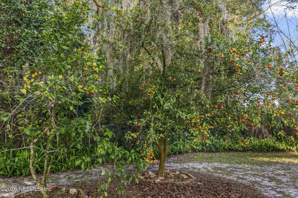 10612 Fort Caroline Road Jacksonville FL 32225