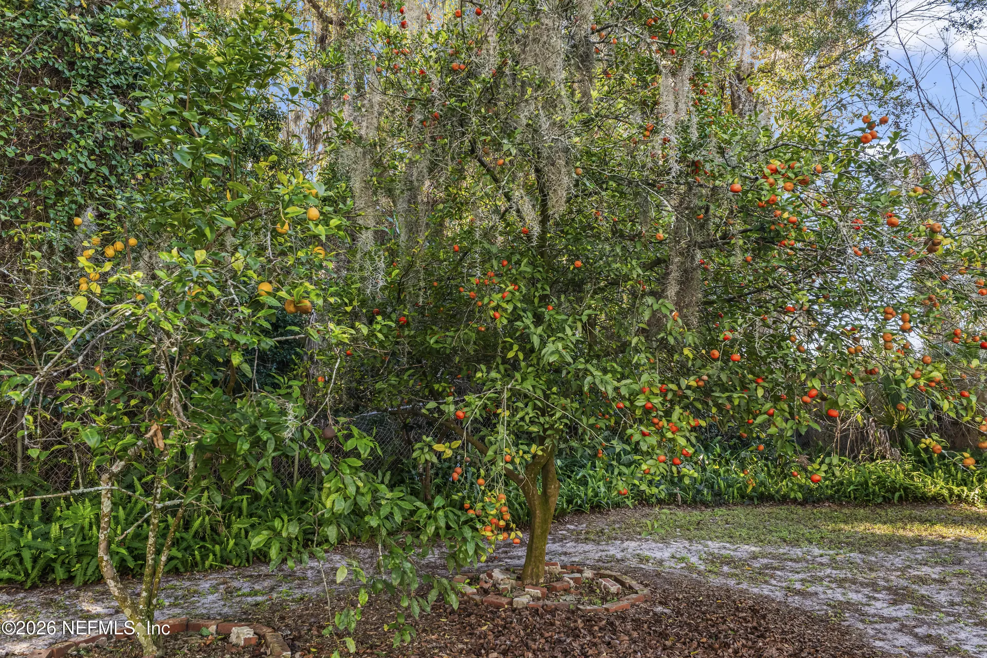 10612 Fort Caroline Road Jacksonville FL 32225