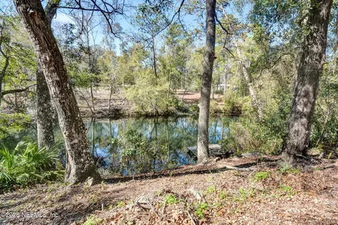 1305 Lake Asbury Drive Green Cove Springs FL 32043