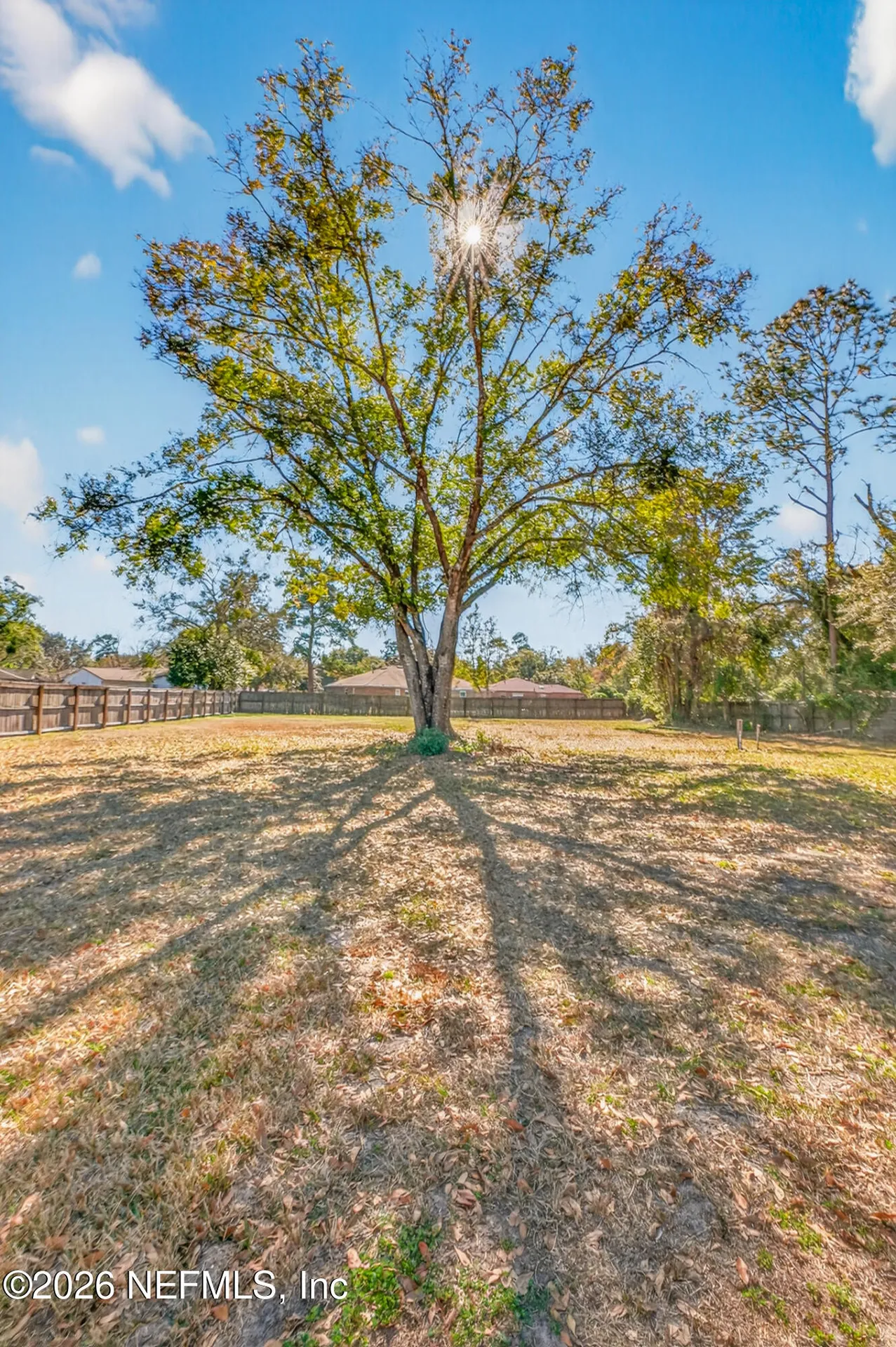 8294 Collins Road Jacksonville FL 32244