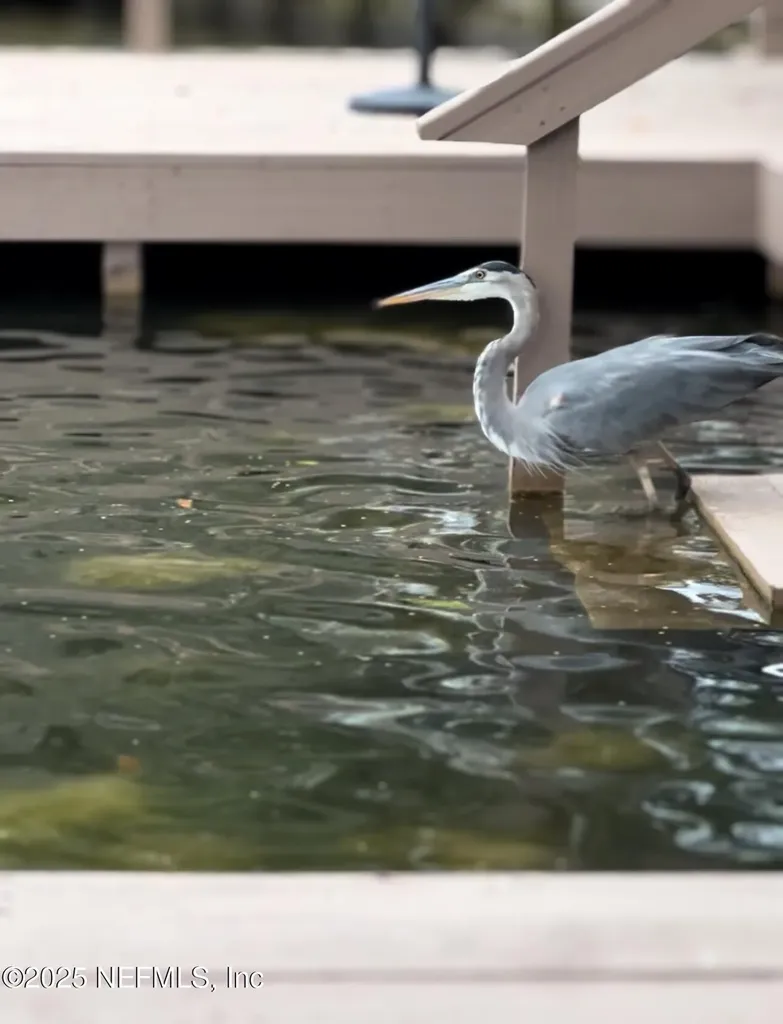 777 Arthur Moore Drive Green Cove Springs FL 32043