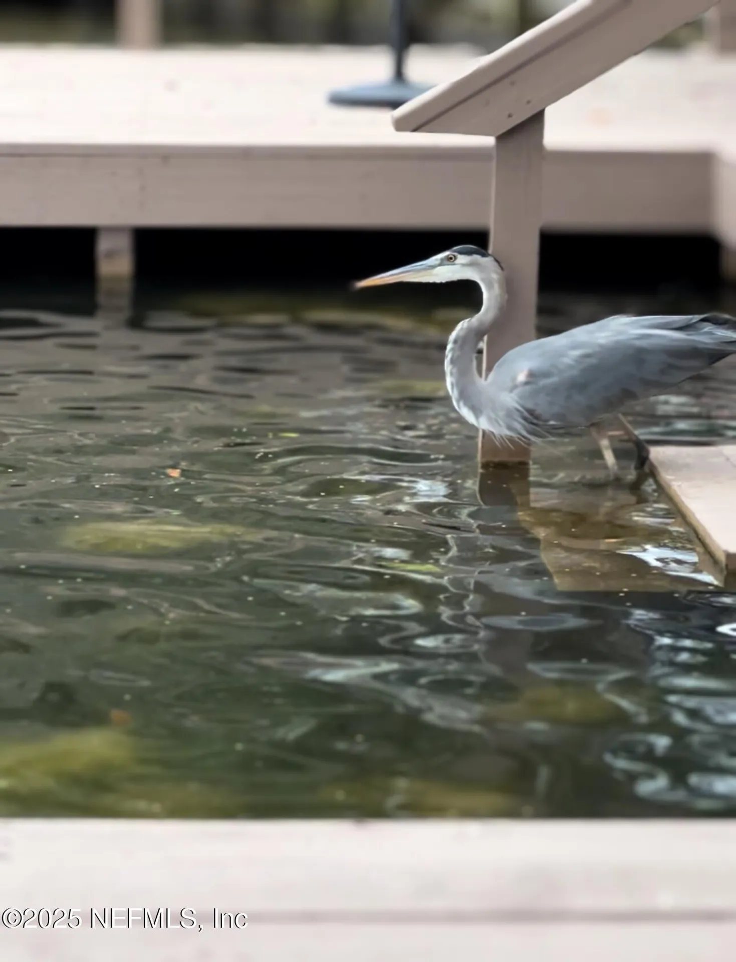 777 Arthur Moore Drive Green Cove Springs FL 32043