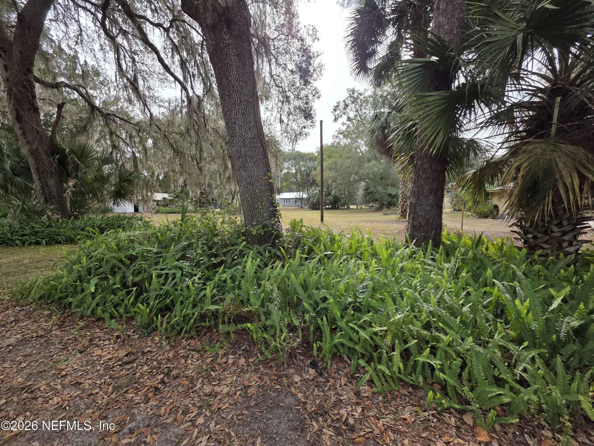 000 Mill Street Welaka FL 32193