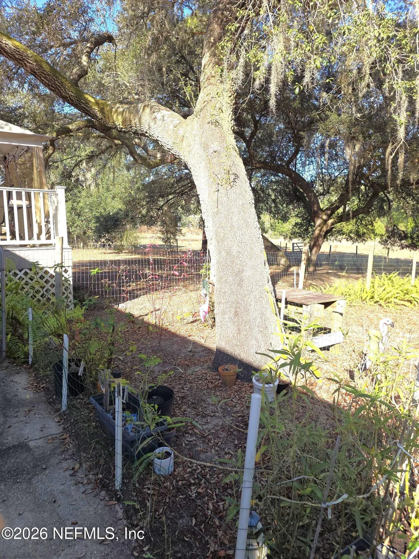 249 Oleander Street Pomona Park FL 32181
