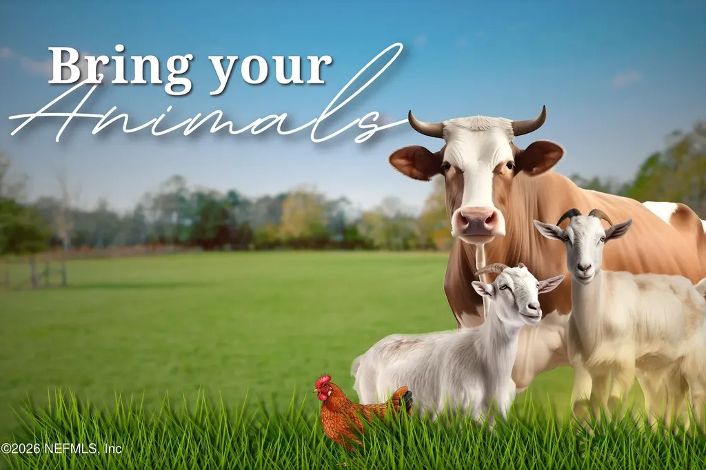 8305 Co Road 139b Glen St. Mary FL 32040