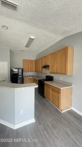 2387 Brian Lakes Drive E Jacksonville FL 32221