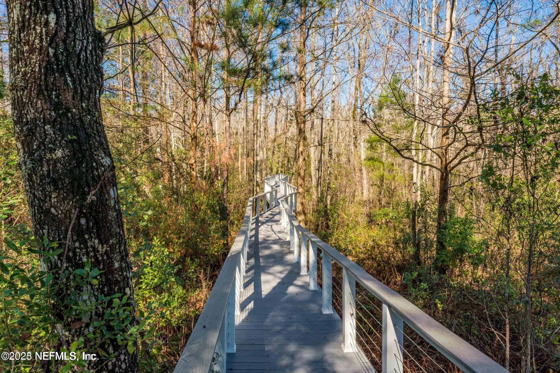 3060 Free Bird Loop Green Cove Springs FL 32043