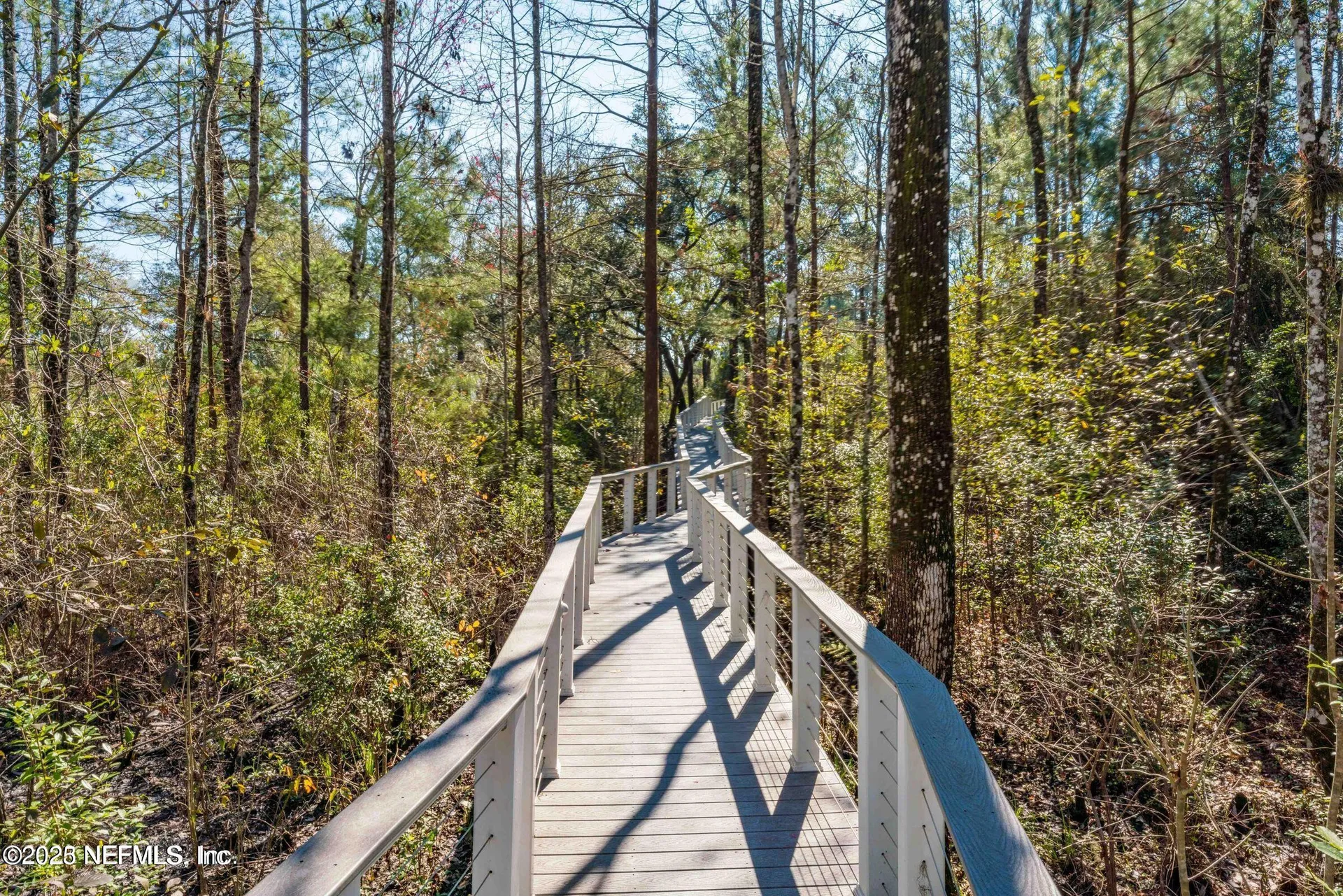 3060 Free Bird Loop Green Cove Springs FL 32043