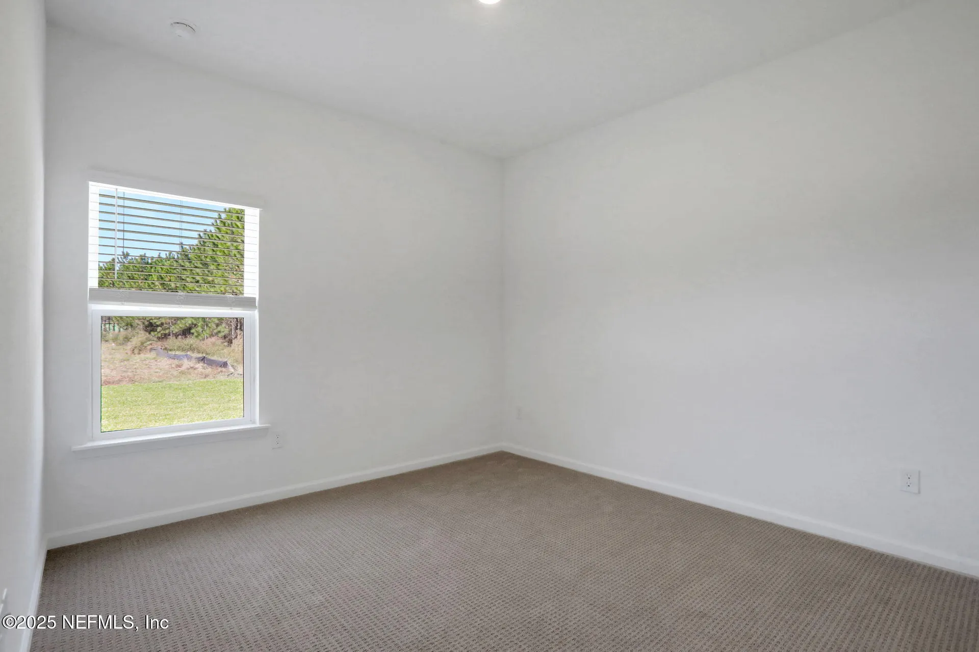 3649 Zydeco Loop Green Cove Springs FL 32043