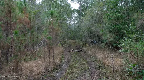 4405 State Road 206 W Elkton FL 32033