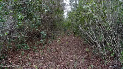 4405 State Road 206 W Elkton FL 32033