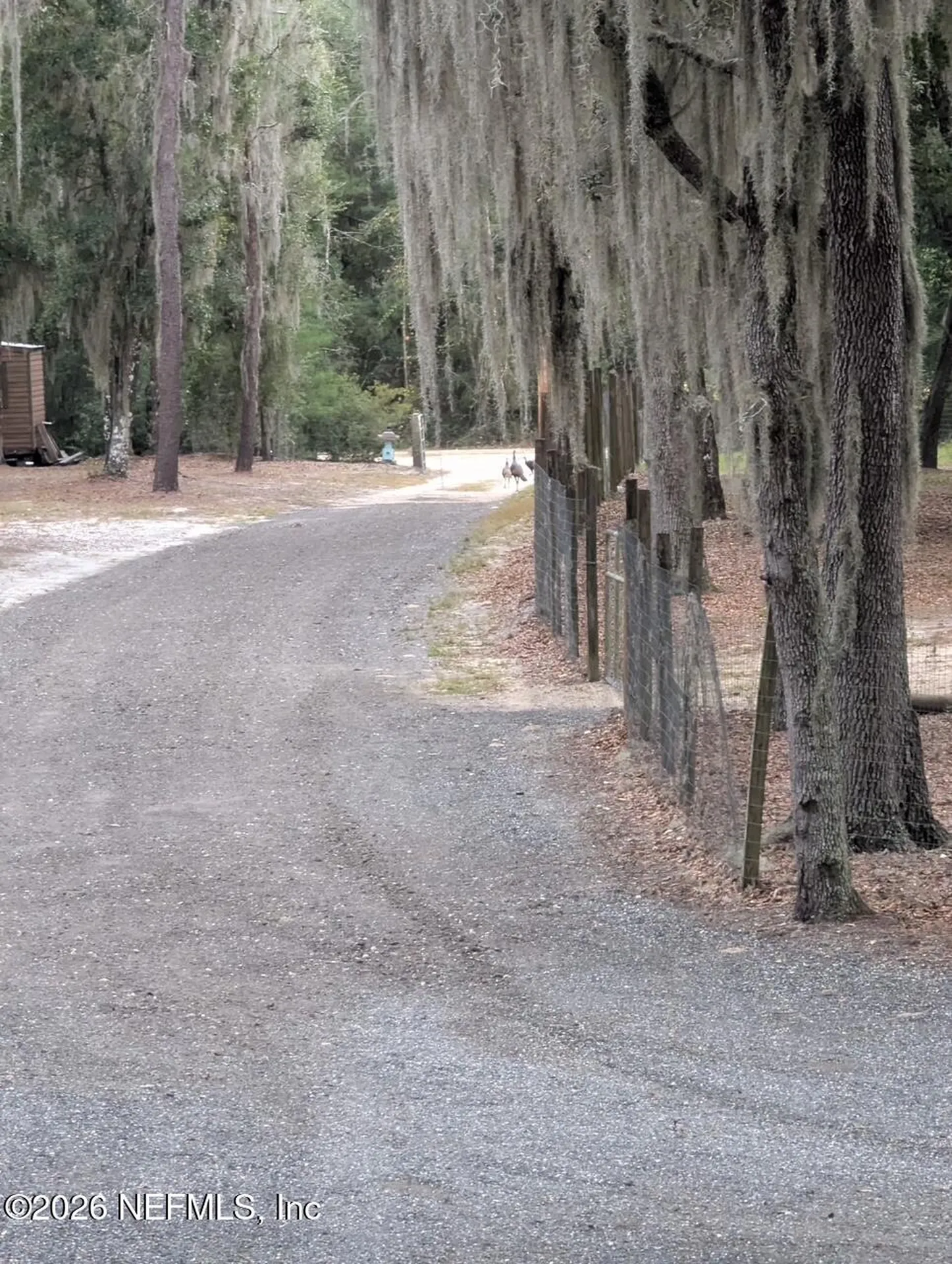 126 Palmetto Trail Interlachen FL 32148