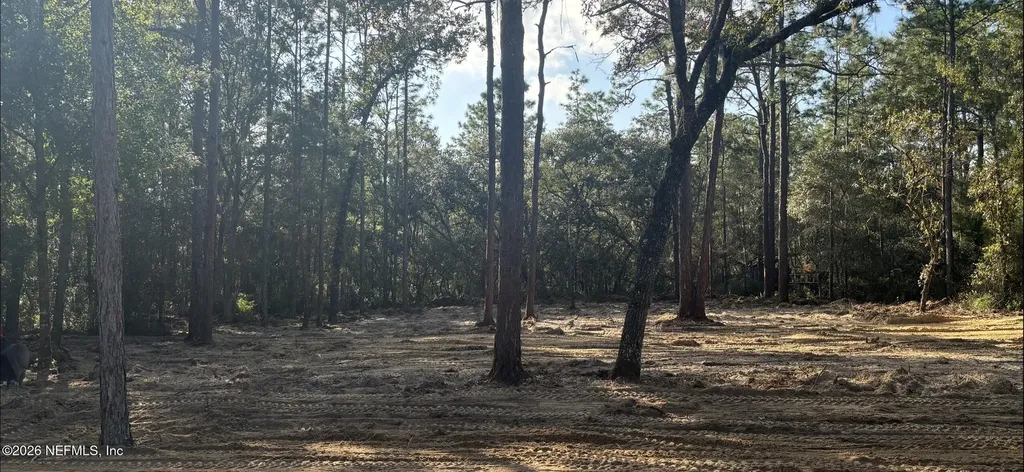 409 Edgehill Road Satsuma FL 32189