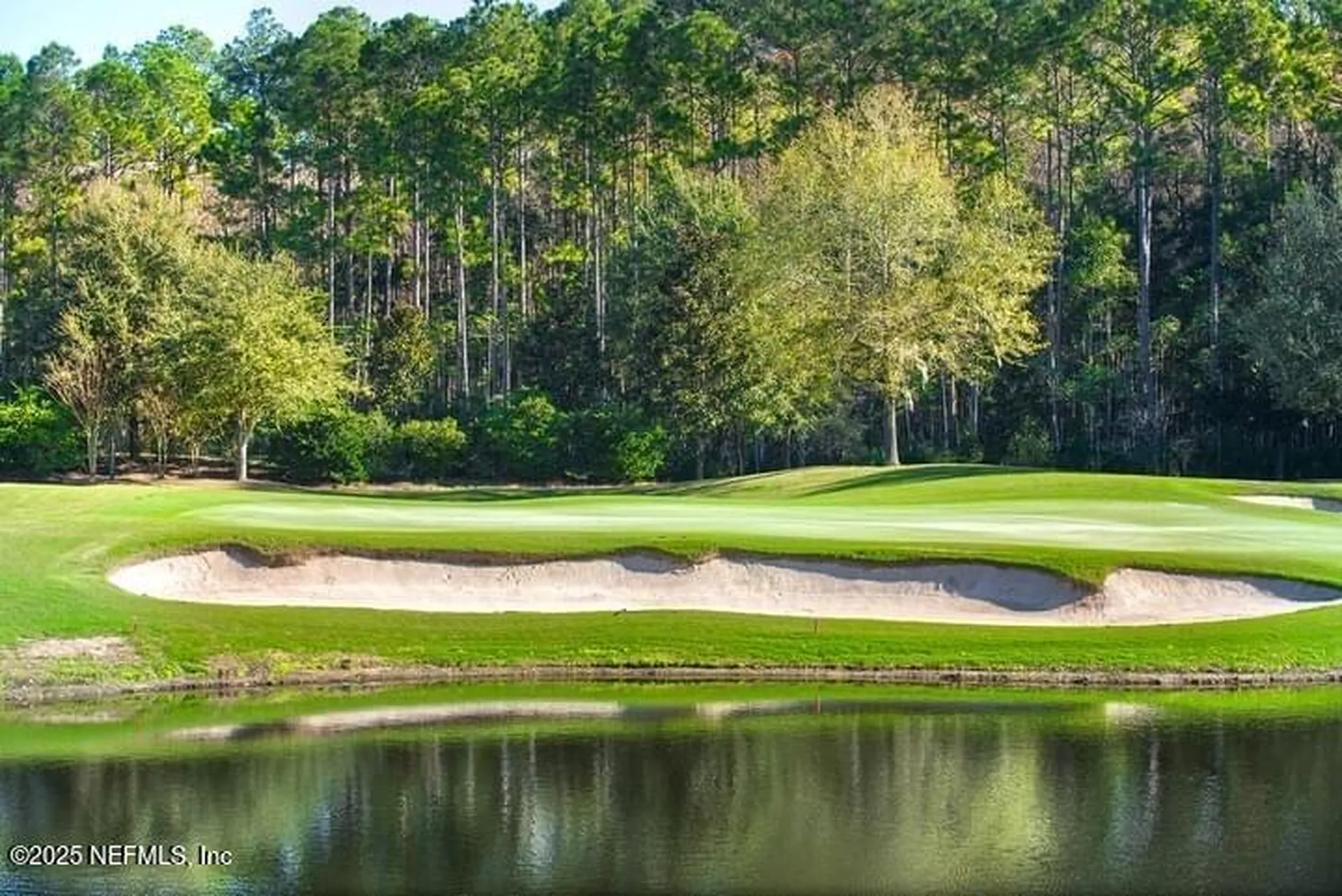 95463 Golden Glow Drive Fernandina Beach FL 32034