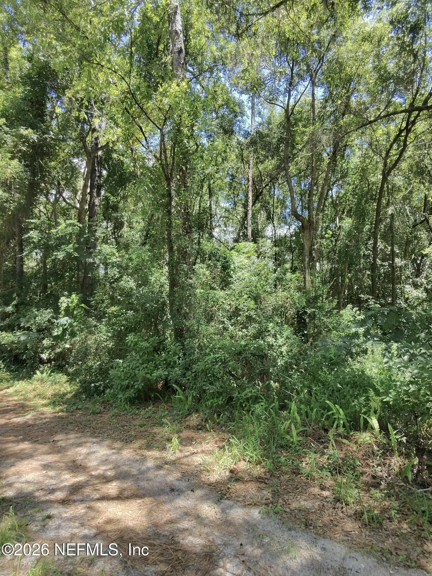 0 Ribault Terrace Jacksonville FL 32209