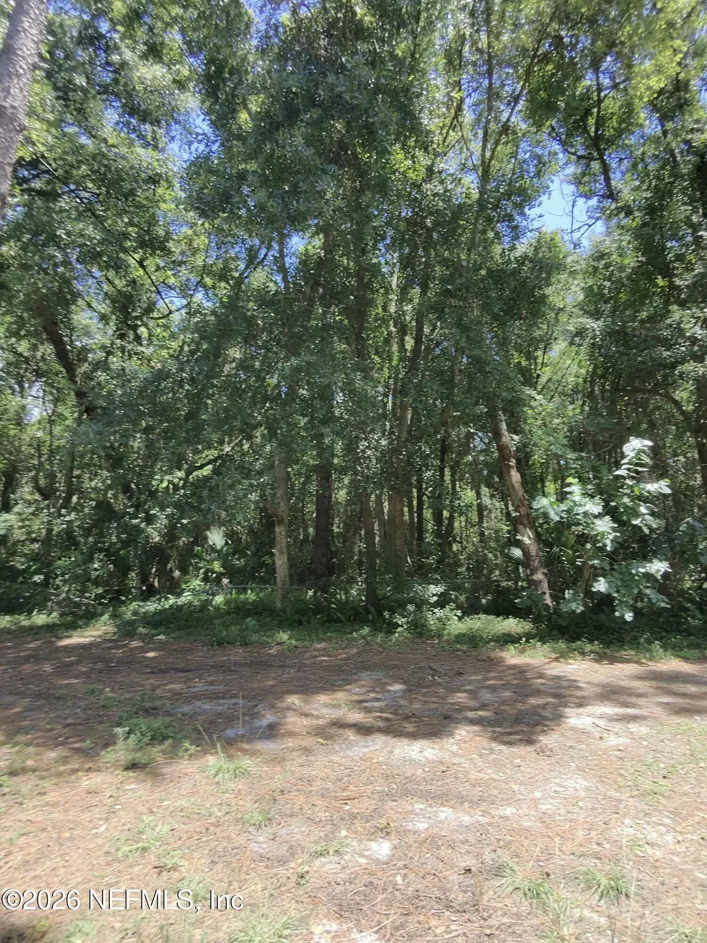 0 Ribault Terrace Jacksonville FL 32209