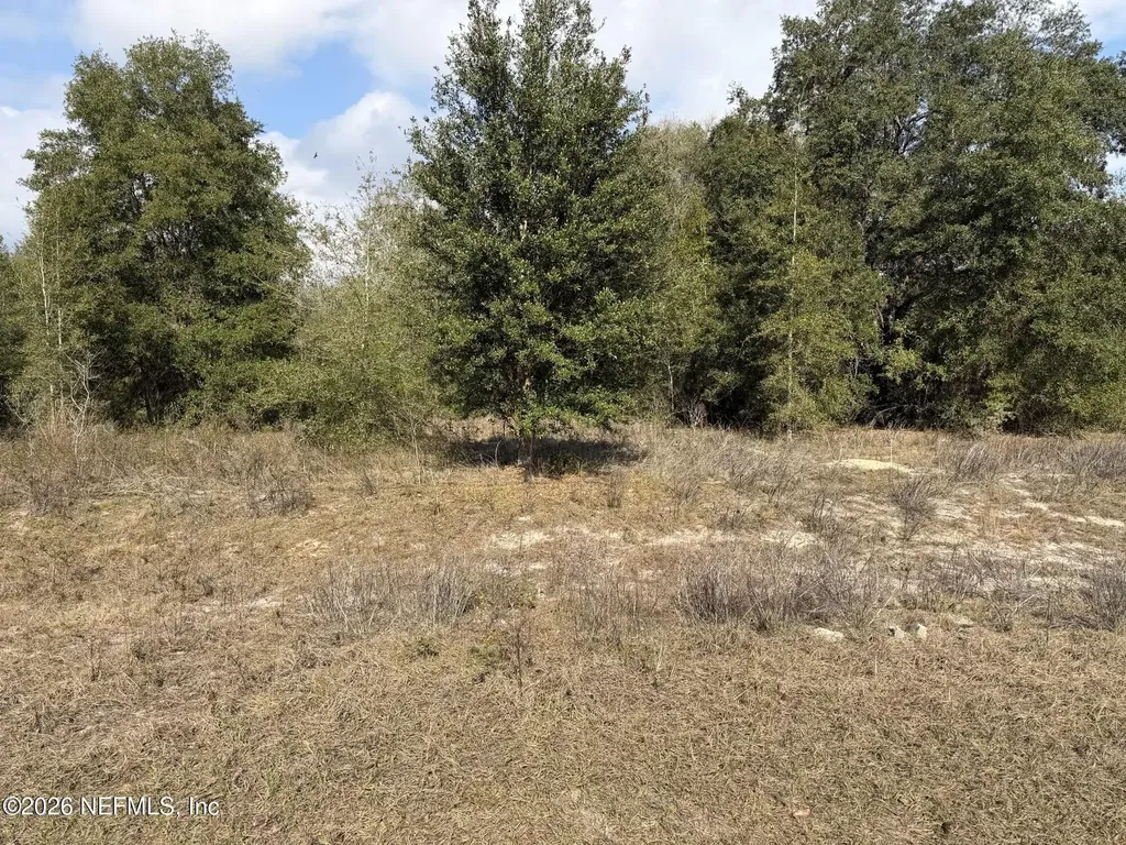 L5 Blk28 Yellowstone Street Keystone Heights FL 32656