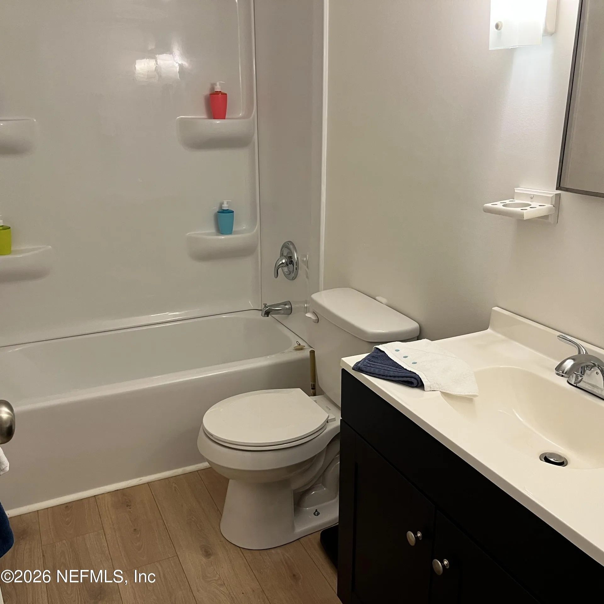 156 Horsetail Avenue Middleburg FL 32068