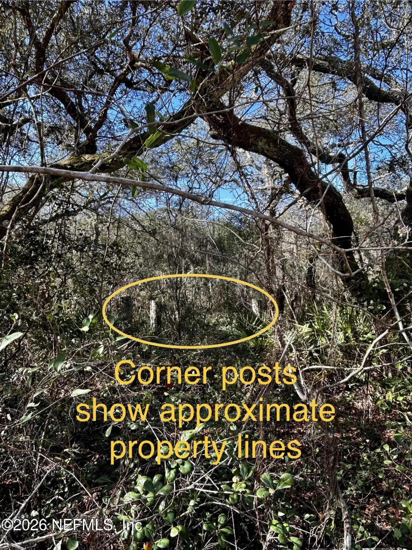 0 Hall Lake Road Keystone Heights FL 32656