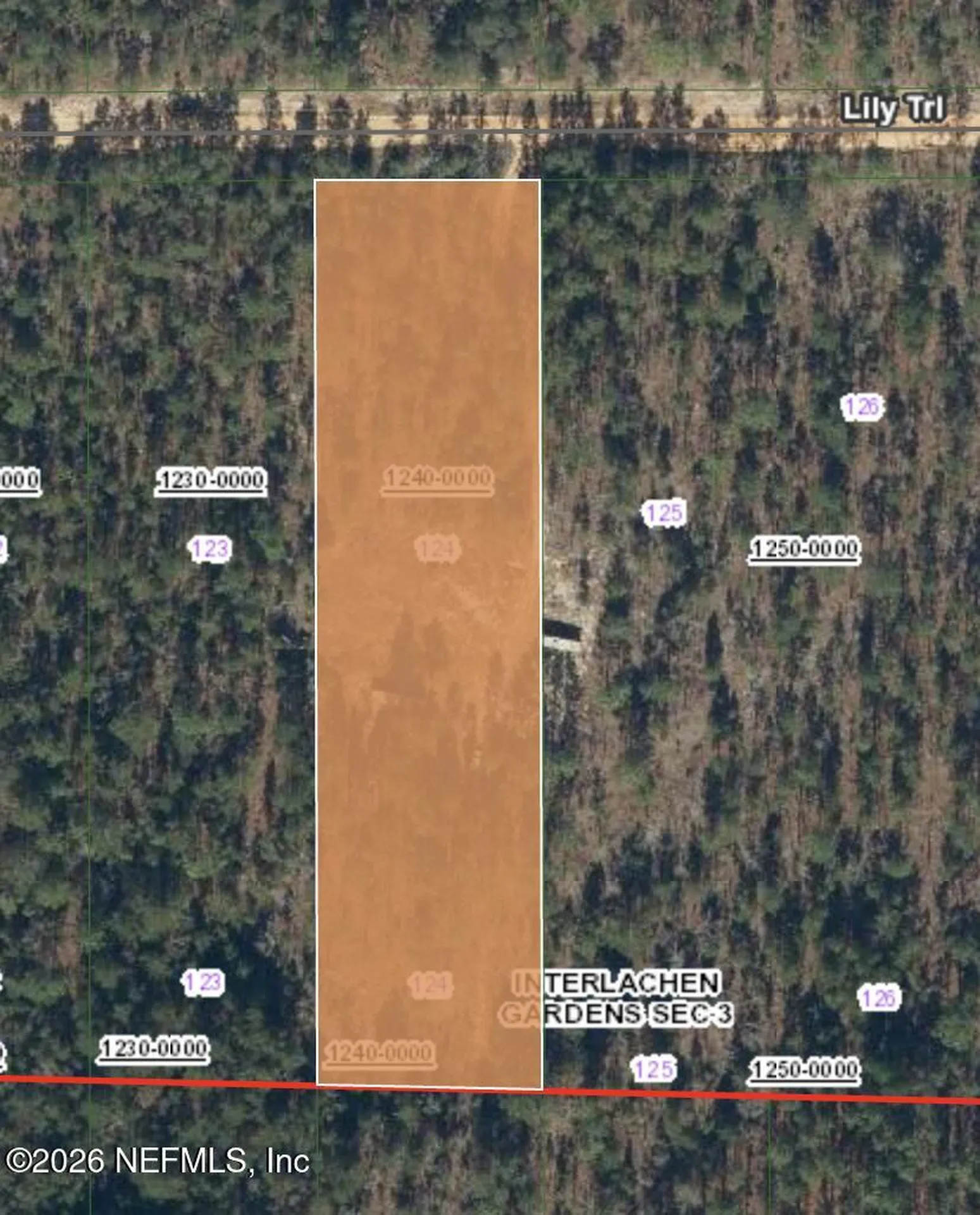 511 Lily Trail Interlachen FL 32148