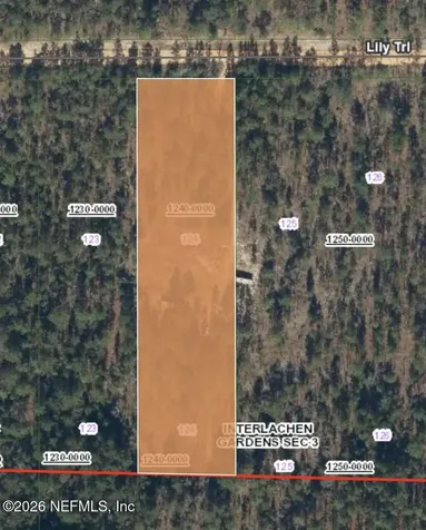 511 Lily Trail Interlachen FL 32148
