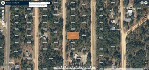 00 O'farrell Avenue Interlachen FL 32148