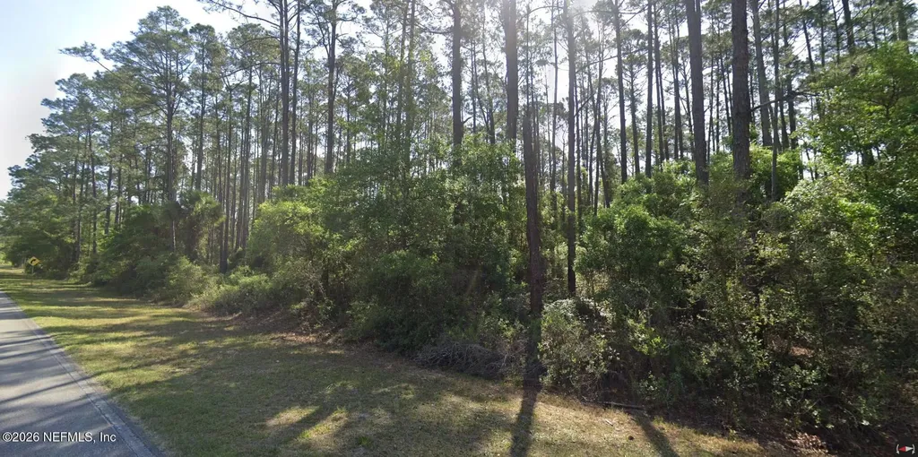 165 Georgetown Denver Road Georgetown FL 32139