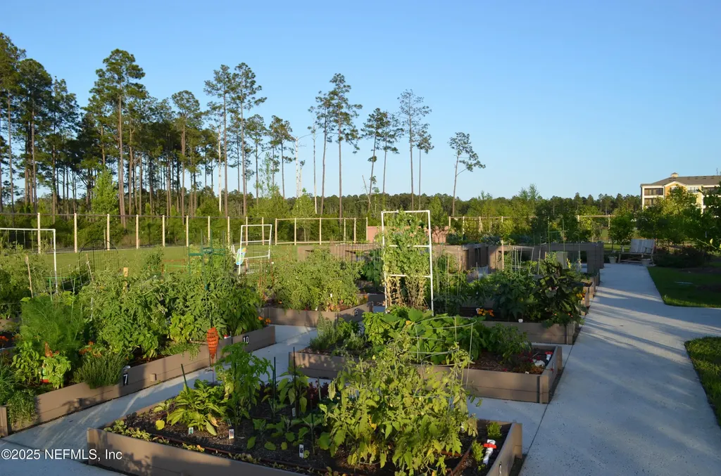 113 Marsh Hollow Road Ponte Vedra FL 32081