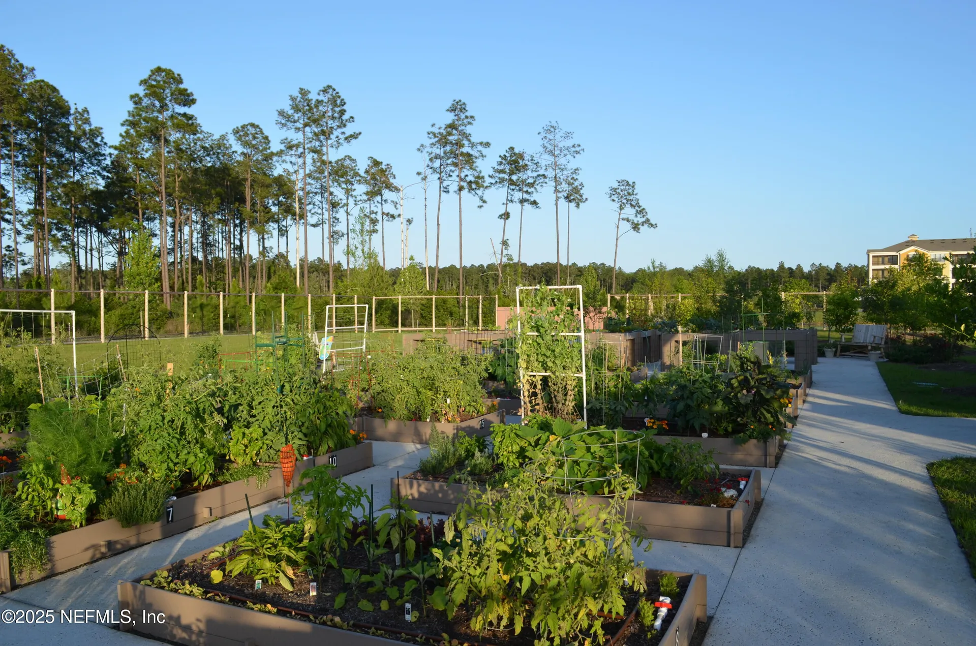 113 Marsh Hollow Road Ponte Vedra FL 32081