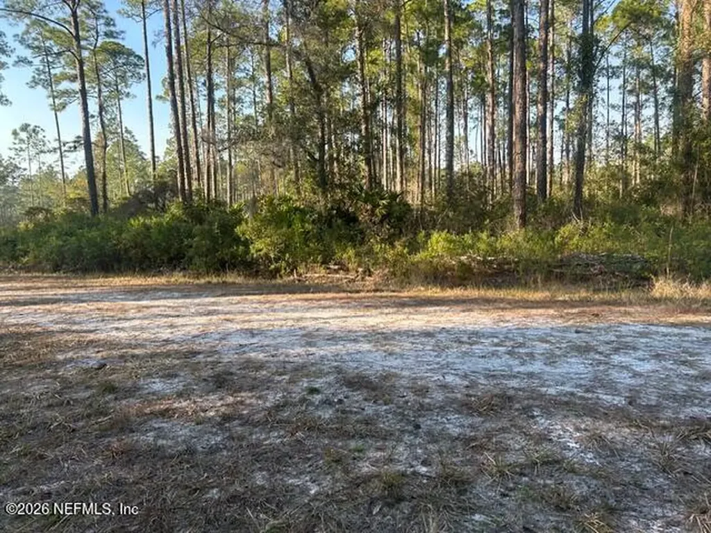 128 Carteret Road Georgetown FL 32139