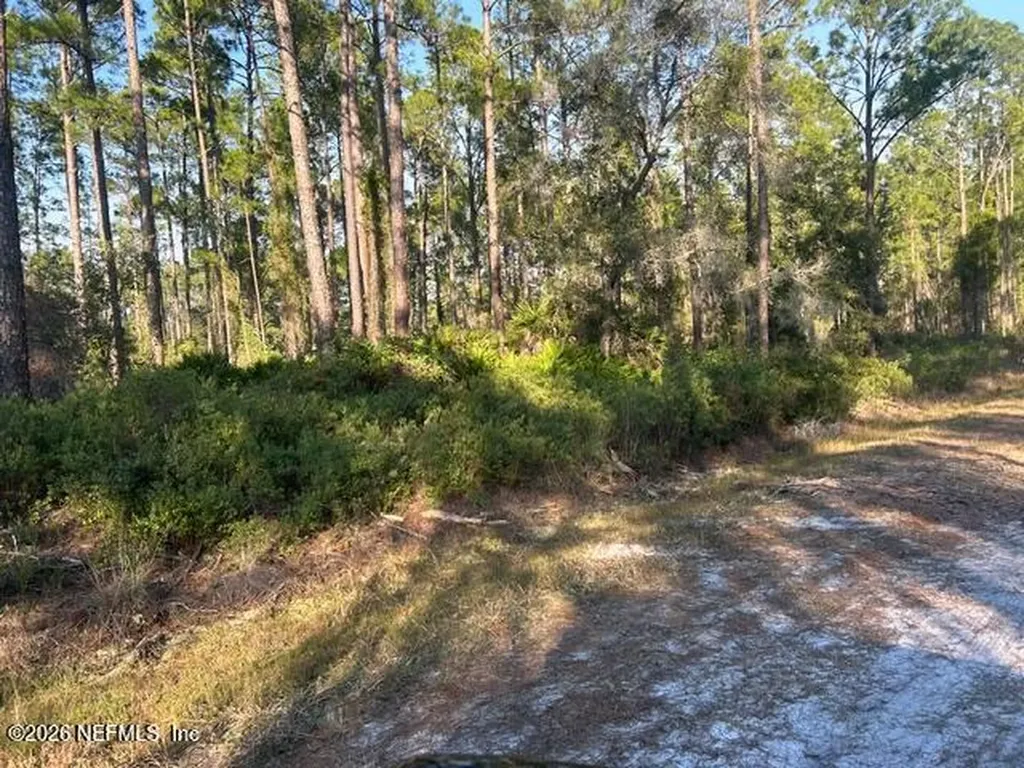 128 Carteret Road Georgetown FL 32139