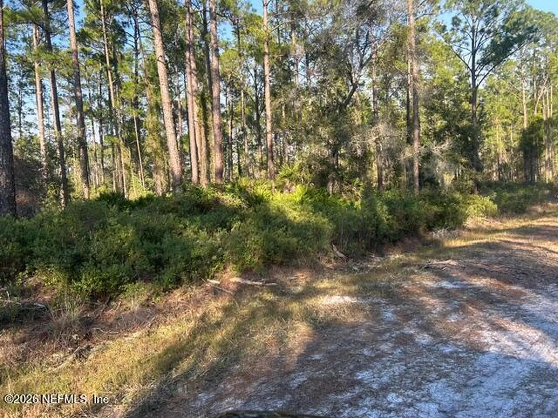 128 Carteret Road Georgetown FL 32139