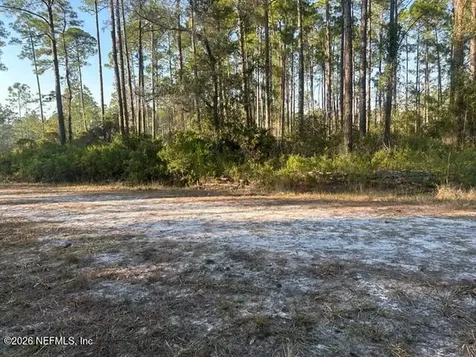 128 Carteret Road Georgetown FL 32139