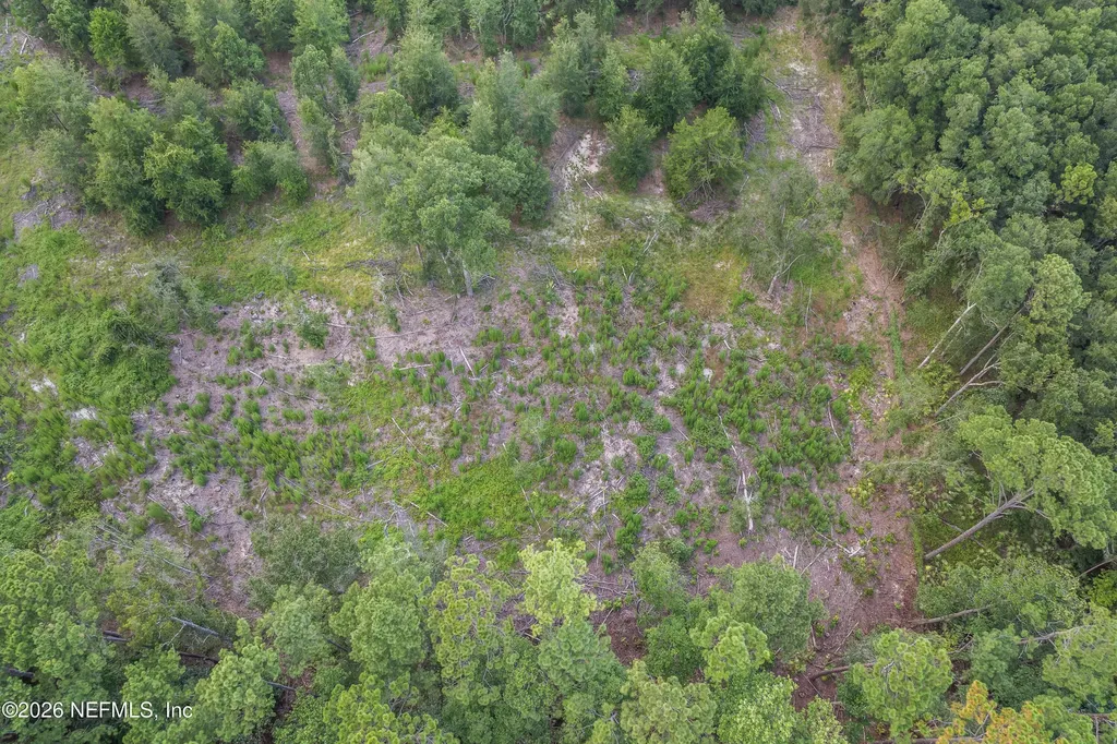 2005 County Road 16 Green Cove Springs FL 32043